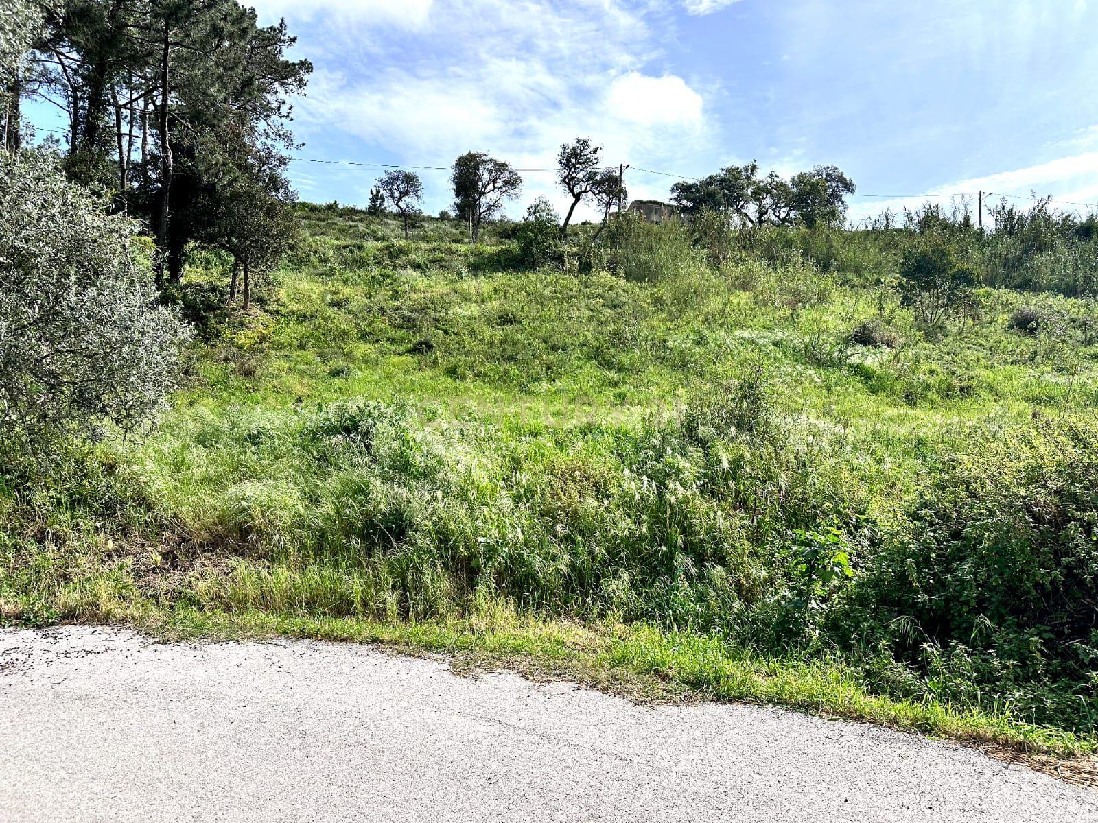 Terreno Urbano com Vista Magnífica para Venda – Próximo da Ericeira e Mafra! - Image 2
